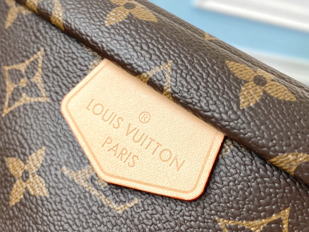 LOUIS VUITTON BUMBAG MONOGRAM COATED CANVAS M43644_6 LOUIS VUITTON BUMBAG MONOGRAM COATED CANVAS M43644 6