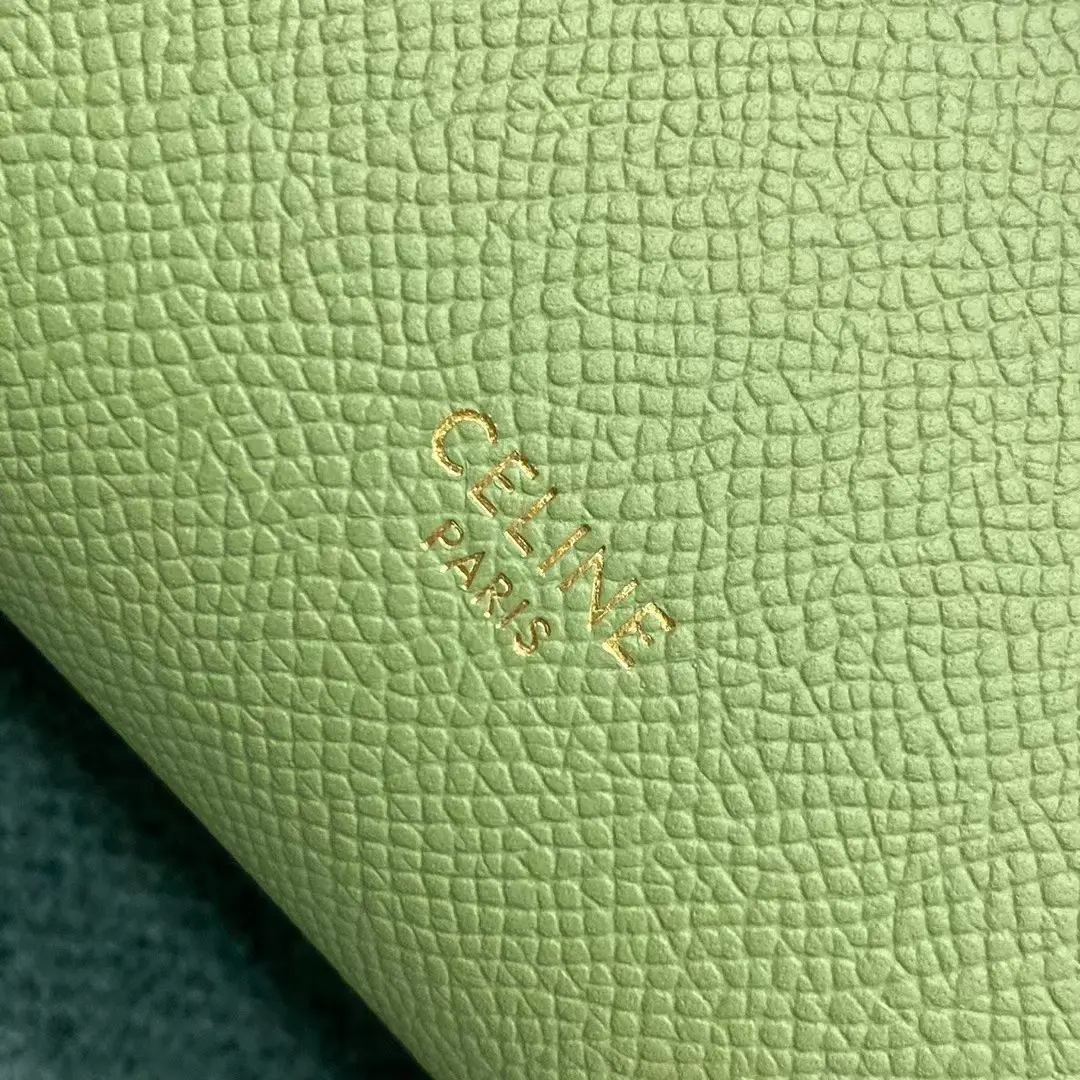 CELINE-PICO-BELT-BAG-IN-GRAINED-CALFSKIN-SAGE-194263ZVA.31SA_9 CELINE PICO BELT BAG IN GRAINED CALFSKIN SAGE 194263ZVA.31SA 9