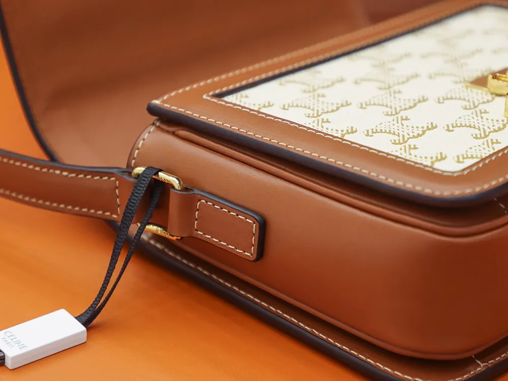 CELINE-TEEN-TRIOMPHE-BAG-IN-TRIOMPHE-CANVAS-AND-CALFSKIN-WHITE-188882BZ4.01BC_10 CELINE TEEN TRIOMPHE BAG IN TRIOMPHE CANVAS AND CALFSKIN WHITE 188882BZ4.01BC 10