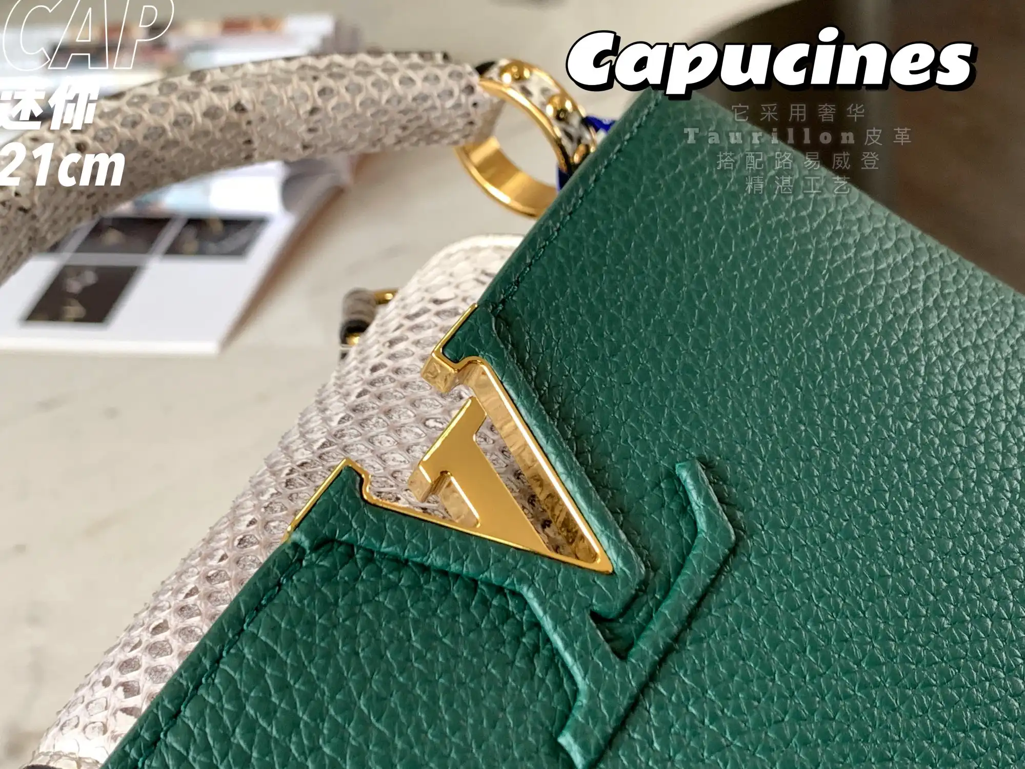 LOUIS VUITTON CAPUCINES MINI HANDBAG TAURILLON AND PYTHON LEATHER GREEN N80931_6 LOUIS VUITTON CAPUCINES MINI HANDBAG TAURILLON AND PYTHON LEATHER GREEN N80931 6