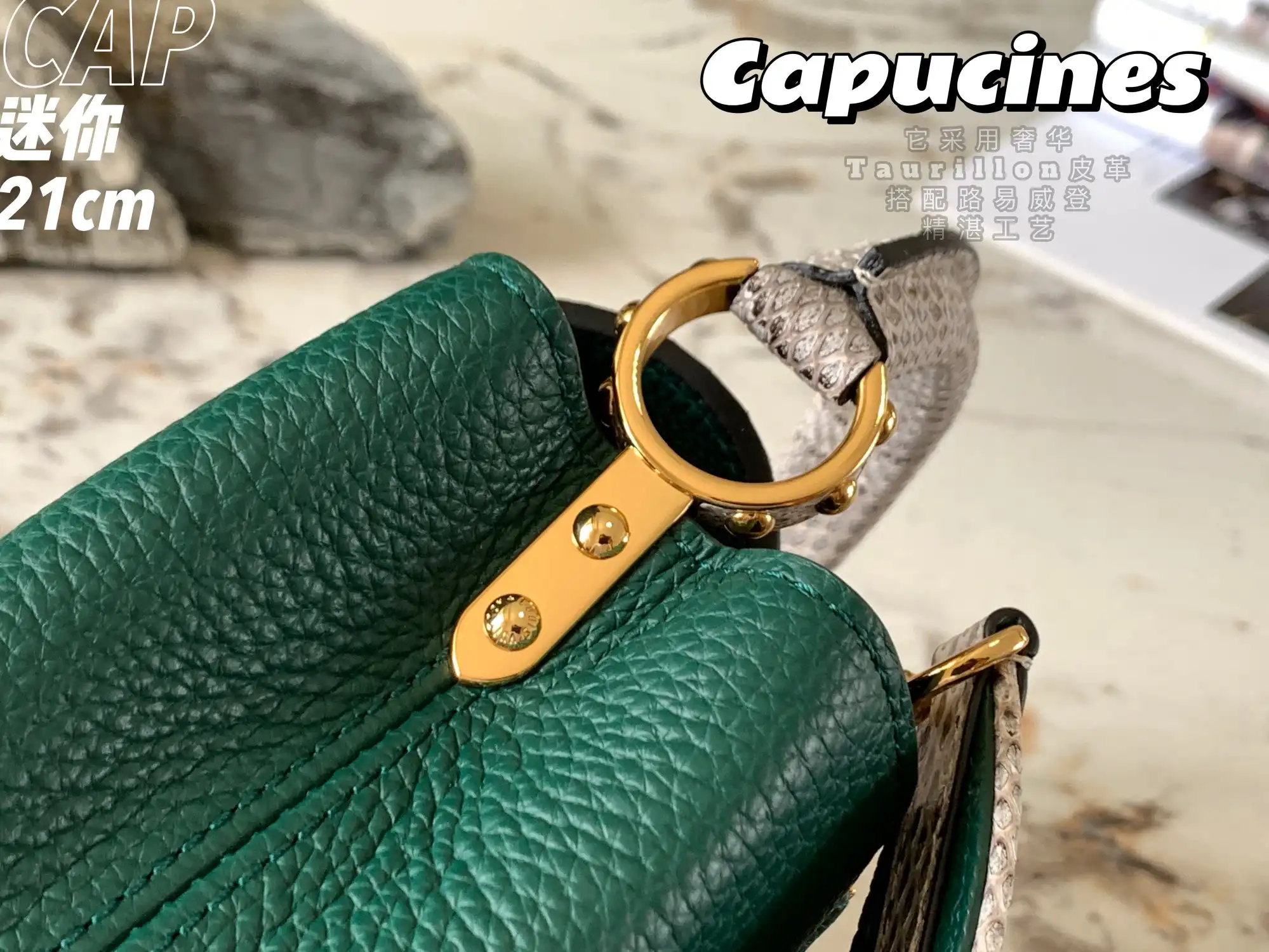 LOUIS VUITTON CAPUCINES MINI HANDBAG TAURILLON AND PYTHON LEATHER GREEN N80931_7 LOUIS VUITTON CAPUCINES MINI HANDBAG TAURILLON AND PYTHON LEATHER GREEN N80931 7