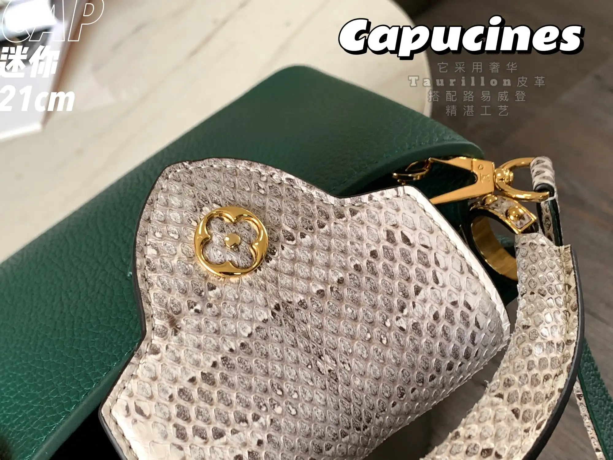LOUIS VUITTON CAPUCINES MINI HANDBAG TAURILLON AND PYTHON LEATHER GREEN N80931_8 LOUIS VUITTON CAPUCINES MINI HANDBAG TAURILLON AND PYTHON LEATHER GREEN N80931 8