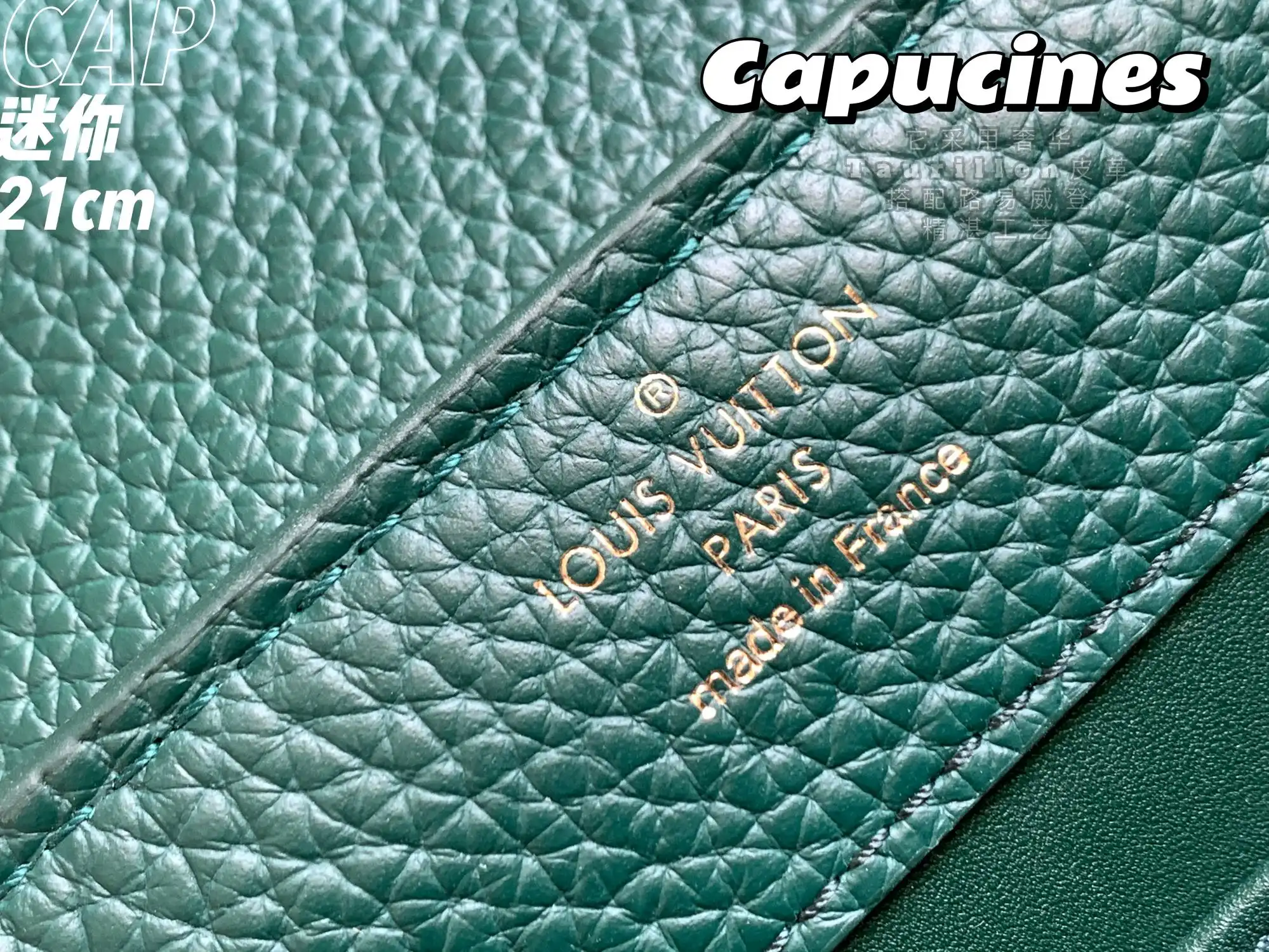 LOUIS VUITTON CAPUCINES MINI HANDBAG TAURILLON AND PYTHON LEATHER GREEN N80931_9 LOUIS VUITTON CAPUCINES MINI HANDBAG TAURILLON AND PYTHON LEATHER GREEN N80931 9