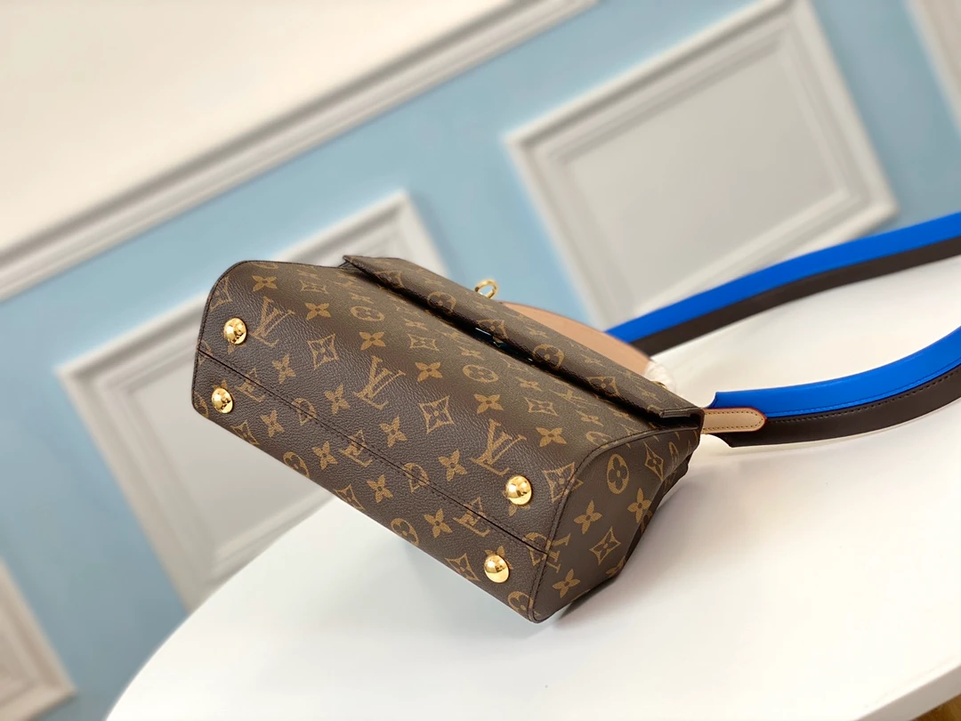 LOUIS VUITTON CLUNY MM HANDBAG MONOGRAM COATED CANVAS GLACIER BLUE M42735_4 LOUIS VUITTON CLUNY MM HANDBAG MONOGRAM COATED CANVAS GLACIER BLUE M42735 4