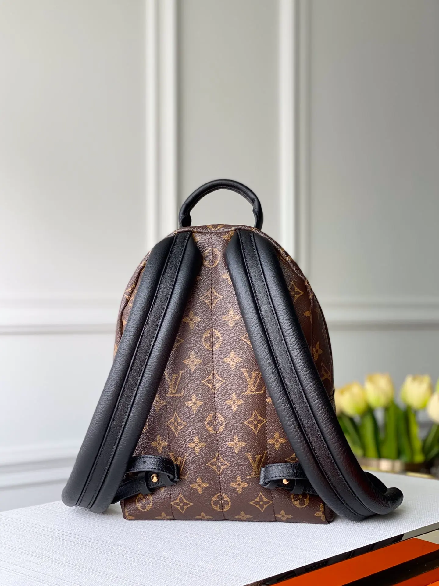 LOUIS VUITTON PALM SPRINGS PM BACKPACK MONOGRAM REVERSE COATED CANVAS M44870_3 LOUIS VUITTON PALM SPRINGS PM BACKPACK MONOGRAM REVERSE COATED CANVAS M44870 3